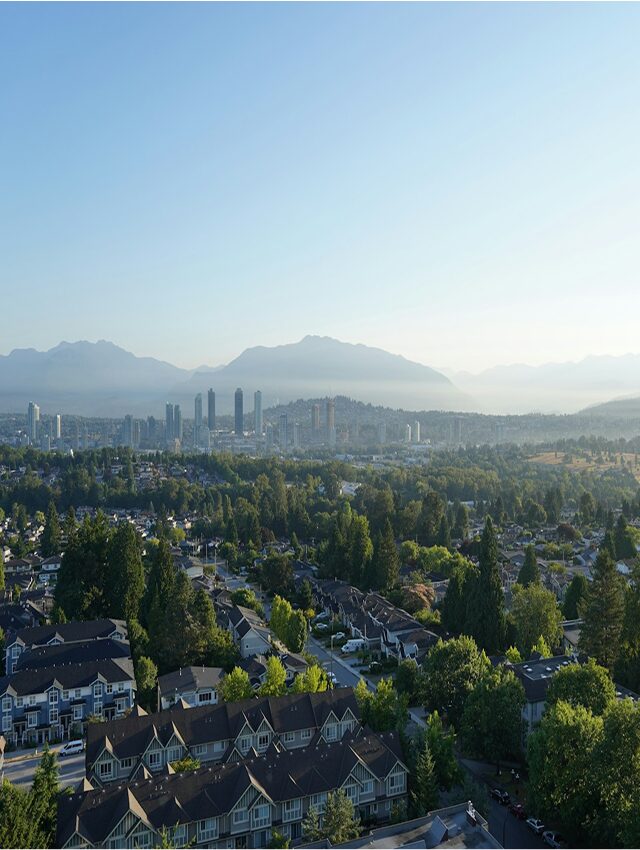 Burnaby Heights landscape